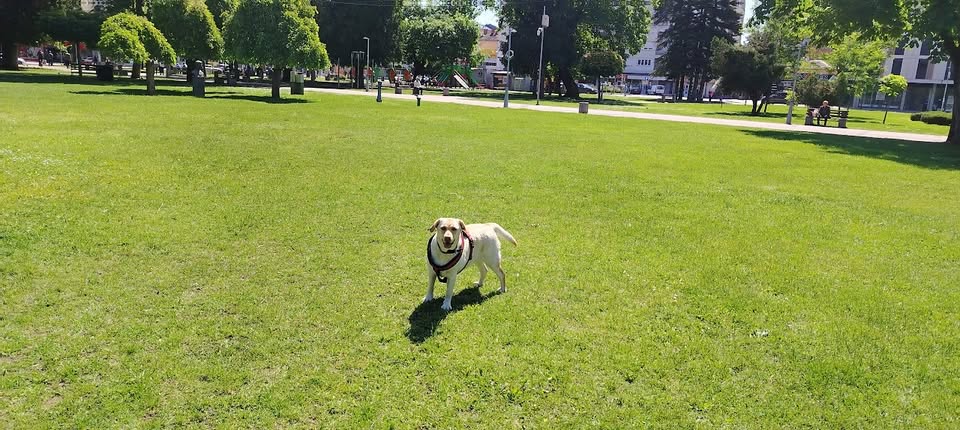 Melody – City Park